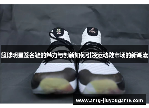 篮球明星签名鞋的魅力与创新如何引领运动鞋市场的新潮流